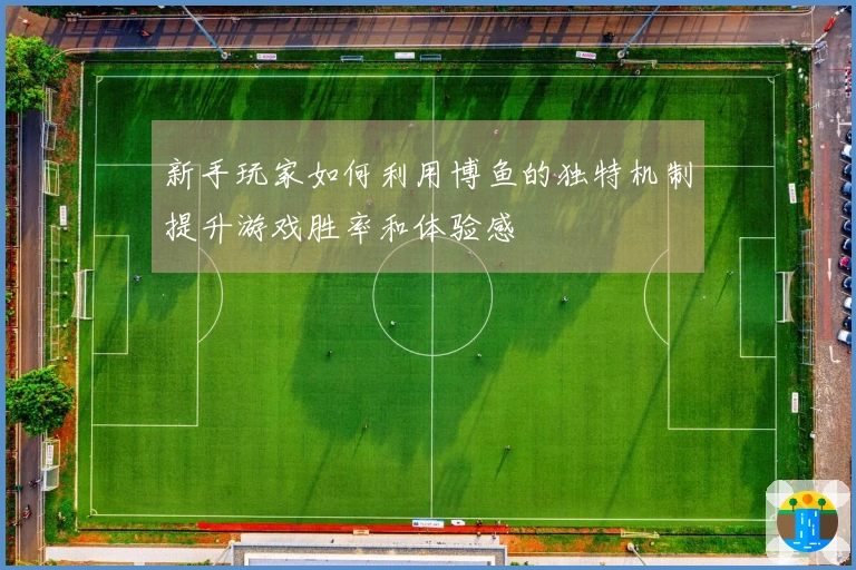 新手玩家如何利用博鱼的独特机制提升游戏胜率和体验感