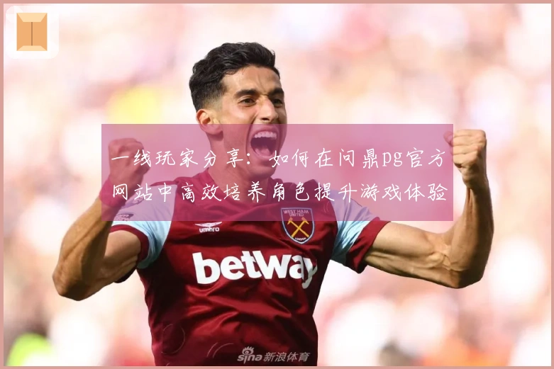 一线玩家分享：如何在问鼎pg官方网站中高效培养角色提升游戏体验